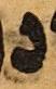 Letter - #28895