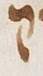 Letter - #28934