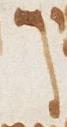 Letter - #28942