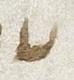 Letter - #29036