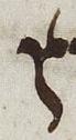 Letter - #29164