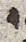 Letter - #29300