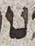 Letter - #29301