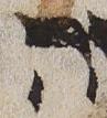 Letter - #29467