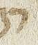 Letter - #29478