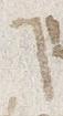 Letter - #29482