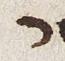 Letter - #29532