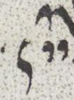Divine Symbol - #29579