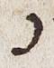 Letter - #29601