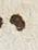 Letter - #29602