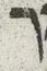 Letter - #29626