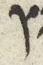 Letter - #29633