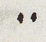 Punctuation - #29741