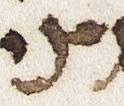 Letter - #29743