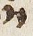 Letter - #29805