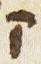 Letter - #29814