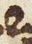 Letter - #29816
