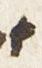 Letter - #29828