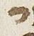 Letter - #29836