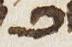 Letter - #29842