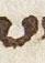 Letter - #29845