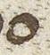 Letter - #29870