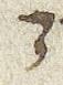 Letter - #29901