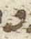 Letter - #29902