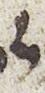 Letter - #29903