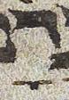 Vowel/Diacritic - #30039