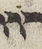 Vowel/Diacritic - #30046