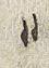 Punctuation - #30049