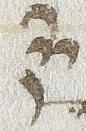 Divine Symbol - #30088