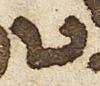 Letter - #30225