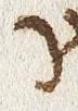 Letter - #30280