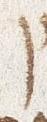 Letter - #30306
