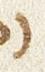 Letter - #30317