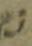 Letter - #30366