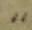Punctuation - #30370