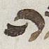 Letter - #30435