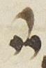 Divine Symbol - #30516