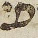 Letter - #30526