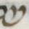 Letter - #30534
