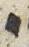 Letter - #30571