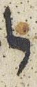 Letter - #30601