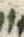 Letter - #30758
