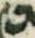 Letter - #30759