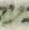 Letter - #30772