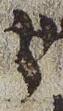 Letter - #30851
