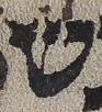 Vowel/Diacritic - #30866